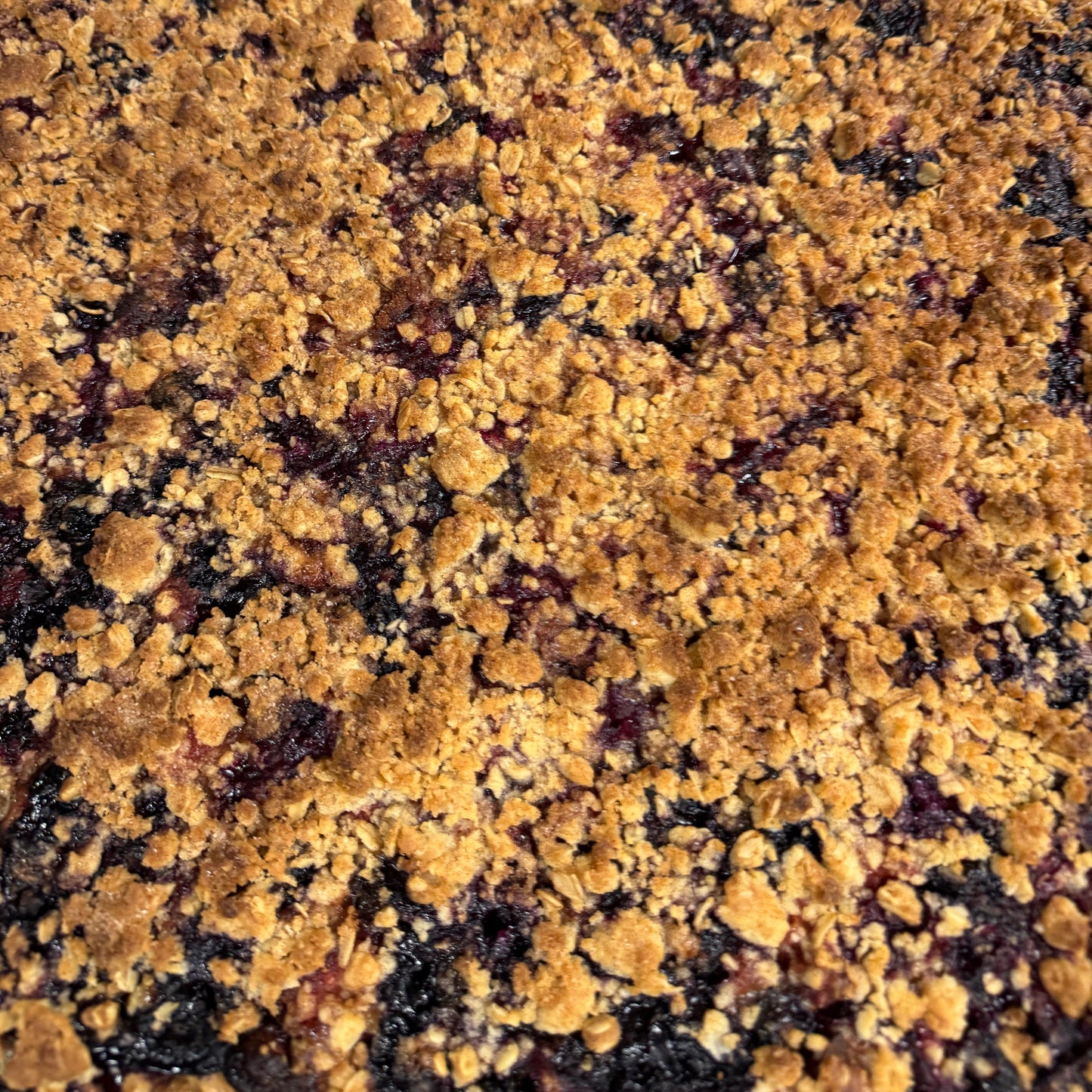Blueberry Crumble Bars