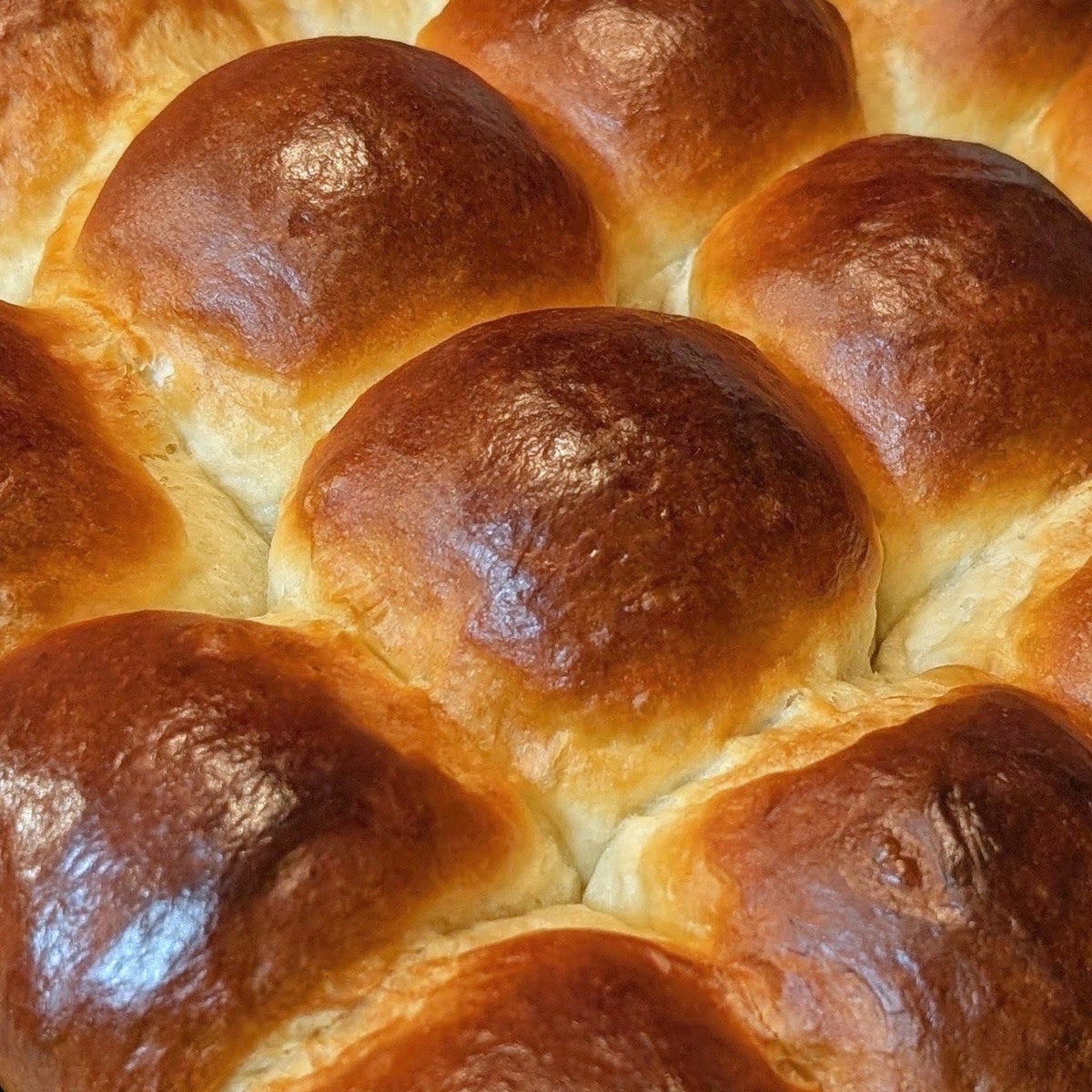 Milk Bread Rolls